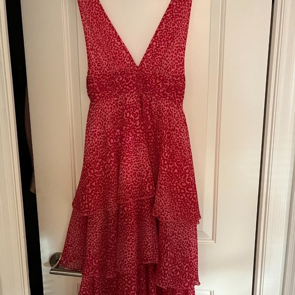 Pink Cheetah Topshop Dress - Picture 3 of 5